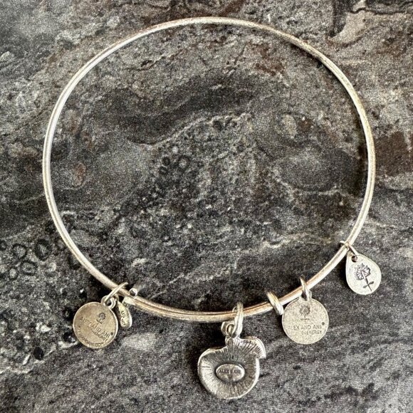 Alex and Ani Apple Charm Bracelet Silver Nature Expandable Bangle - Picture 3 of 14